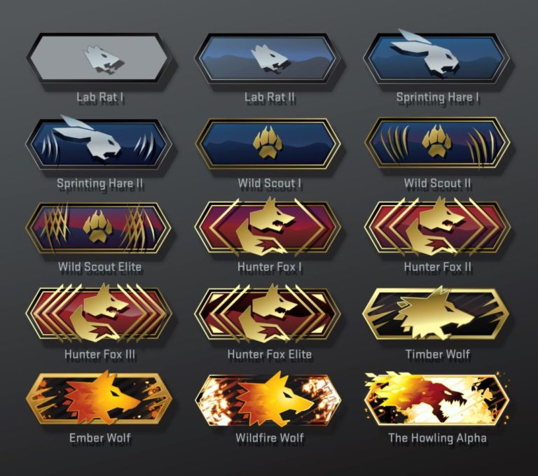 From Noob to Pro: The CSGO Climb Everyone Talks About